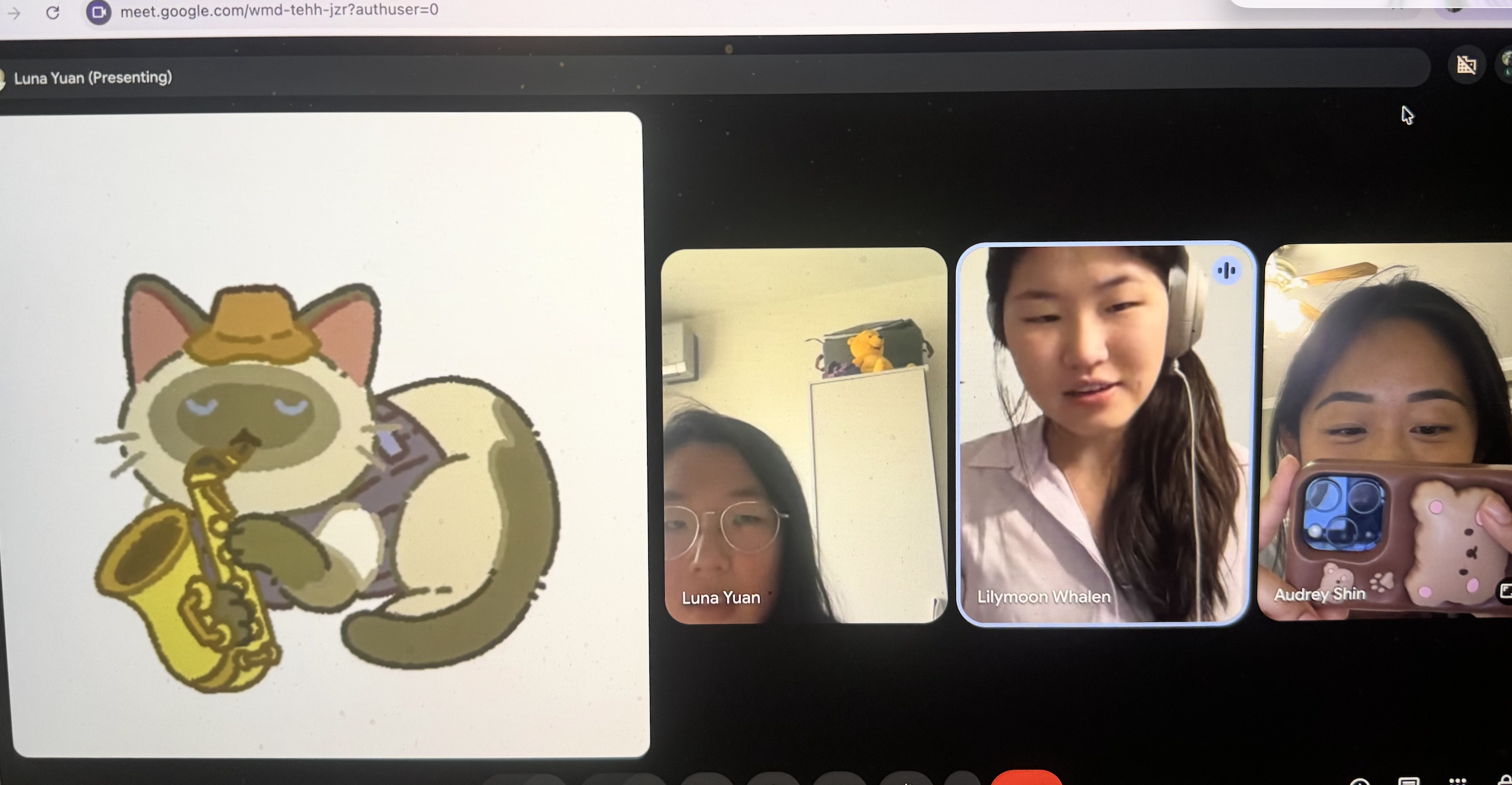 The Catena team meeting virtually on a video call